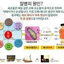 엔잭타커피
