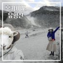 광산구-088 | 홋카이도여행, 이오산 다른 행성에 온 것 같아요. 계란 체험 (테이프로 까먹는 법).