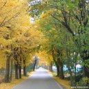 유림-1157 | 두물머리, 양평 가는 길