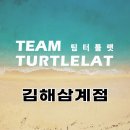 팀터틀랫김해 이미지
