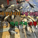 마정낚시터 이미지