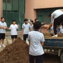 대천서중학교 이미지