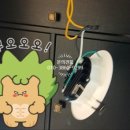 무지개전기조명 이미지