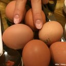 돈꾸앙참숯석쇠구이 이미지