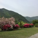 청솔가든민박 네이버블로그