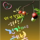 (유)알랑가