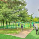 수지아르피아 이미지