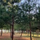 기회송림 매표소 이미지