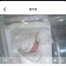 나무와 친해지기 | 안양 산후조리원, 벨라산후조리원 13박14일 후기