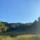 메밀꽃 화장실 이미지