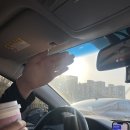 광주천 | (14) 광주천 벚꽃 후기