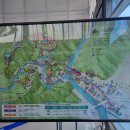 19-20. 원주 출렁다리 이미지