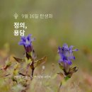 용담 이미지