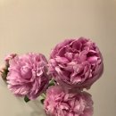 우장산힐스테이트(아) 이미지