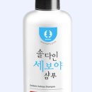 솔다인