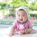 지후스토리 이미지