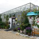 예밀촌길 이미지