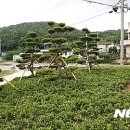 율곡면사무소 이미지