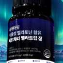 케어핏 이미지