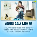 하얀세탁소 이미지