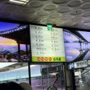 [내돈내산] 강릉 당일치기 / 강변역에서 출발 중앙시장 / 오징어순대나라 / 월화김치말이삼겹살 후기