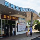 몬주익 영웅 | 기차 타고 당일여행으로 신나게 즐긴 삼척 해양레일바이크(궁촌역→ 용화역)