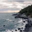 88행정사사무소 이미지