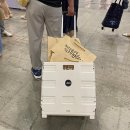 삼막골목장 | 일산킨텍스, 국내 최대 규모의 재미?! 메가쇼 2022 시즌1 후기!