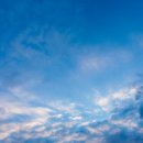 송원면옥 이미지