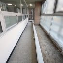 대전탄방초등학교 이미지