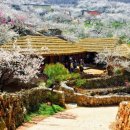 고향의 봄 이미지