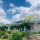 늘푸른가든 | 경남 구례 하동 오리고기 애견동반 맛집 내돈내산 식당 늘푸른가든 후기