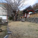 삼매당 이미지