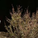 부활미용실 이미지