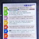 스트라이크존 경기시흥배곧신도시구장