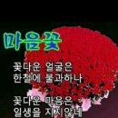 설악산길 민박 이미지