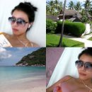 노블레스노마드 이미지