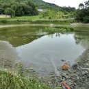 하대3구 이미지