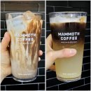 매머드커피 신메뉴 | 헤이즐넛 모카, 레몬 토닉 콜드브루 후기 • 칼로리 카페인 영양성분