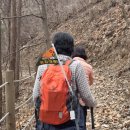 치악산둘레길 10코스 아흔아홉골길 | 2026.03.14 워킹크루 정기 치악산둘레길 10코스