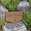 12th forest 이미지