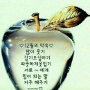 주월로 이미지