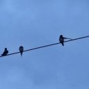 버스정류장 06-202 이미지