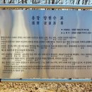 유장 양헌수묘 이미지