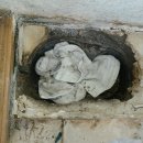 경기도 수원시 권선구 구운중로31번길 23 이미지