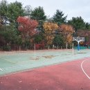 대전월평중학교 이미지