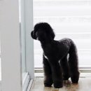 소답동237 이미지