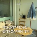 태안 애견 동반 펜션 말리오션스파 후기