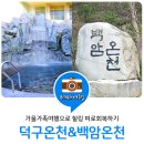 가을가족여행 :: 덕구온천&백암온천에서 피로회복 이미지