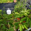 별샘농장 이미지